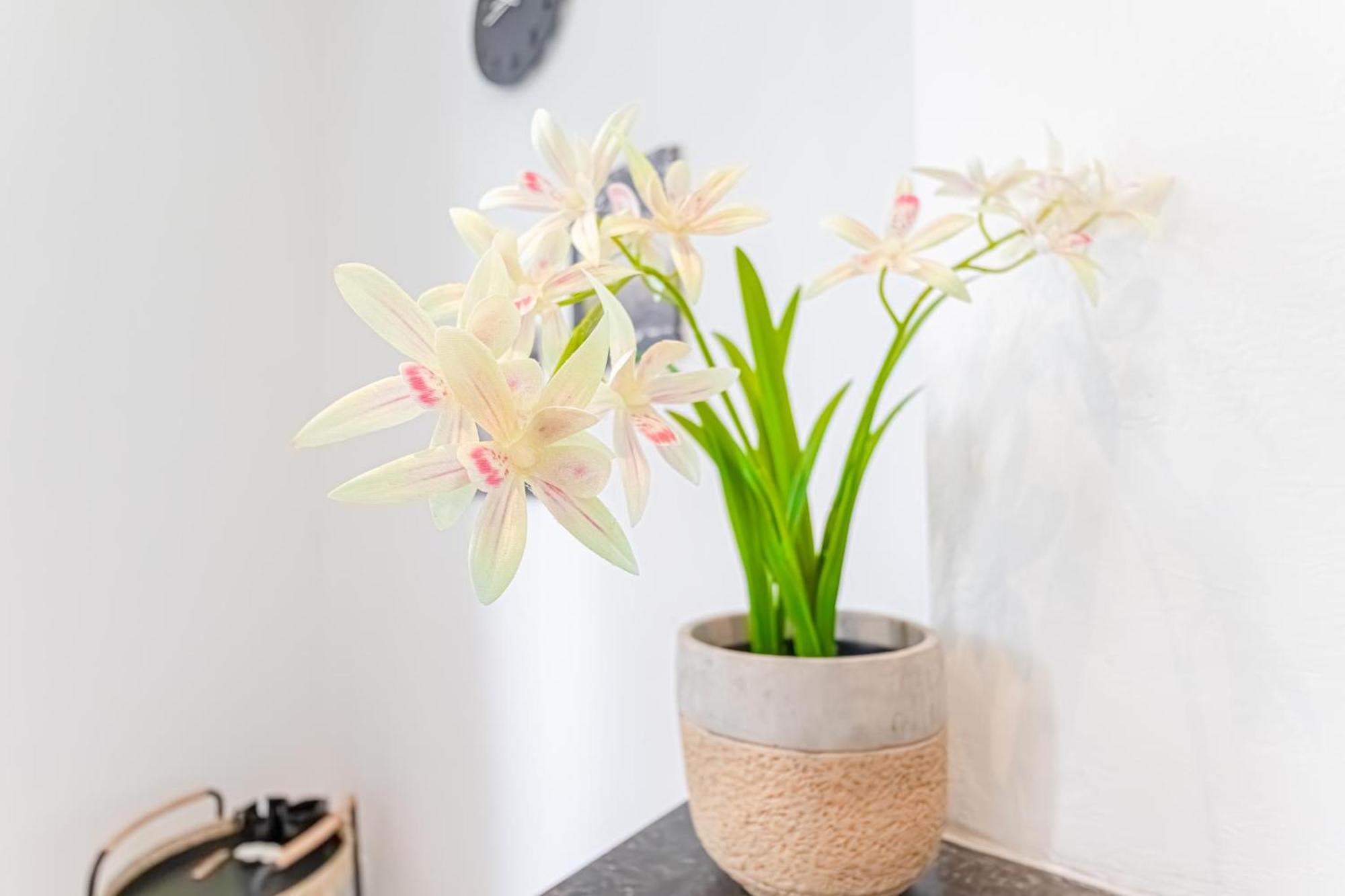 6 Stylish & Comfortable , Heart Of Apartment Gent